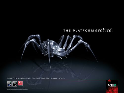 itc1119 amd spider - AMD introduce Spider: la piattaforma definitiva