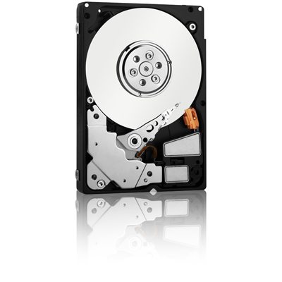 wdfenterprisevr blfs - WD presenta hard disk VelociRaptor da 2.5" 10k RPM per Server Blade