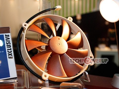 noctua2