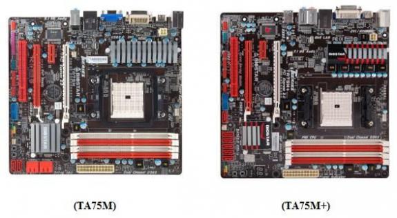 biostarta75mta75ms01
